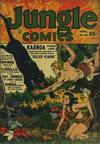 Cover for Jungle Comics (Fiction House, 1940 series) #40
