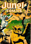 Cover for Jungle Comics (Fiction House, 1940 series) #43