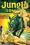 Cover for Jungle Comics (Fiction House, 1940 series) #91