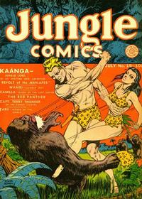 Cover Thumbnail for Jungle Comics (Fiction House, 1940 series) #19