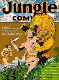 Cover Thumbnail for Jungle Comics (Fiction House, 1940 series) #23