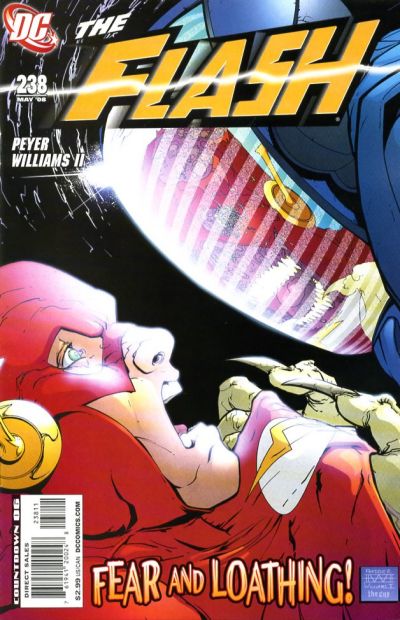 Cover for The Flash (DC, 2007 series) #238 [Direct Sales]
