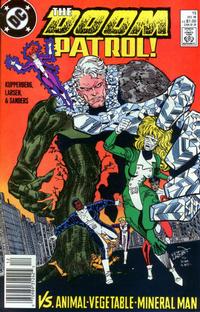 Cover for Doom Patrol (DC, 1987 series) #15 [Newsstand]