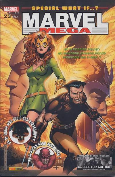 Cover for Marvel Méga (Panini France, 1997 series) #23 - What If...?