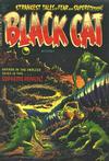 Cover for Black Cat Comics (Harvey, 1946 series) #47