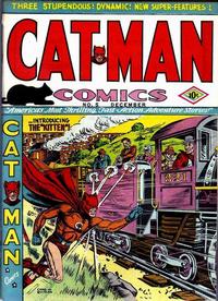Cover Thumbnail for Cat-Man Comics (Temerson / Helnit / Continental, 1941 series) #v1#10 (5)