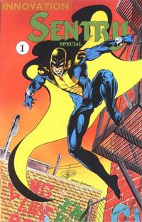 Cover Thumbnail for Sentry Special (Innovation, 1991 series) #1