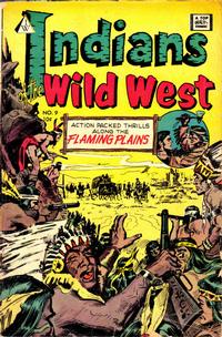 Cover Thumbnail for Indians of the Wild West (I. W. Publishing; Super Comics, 1958 series) #9