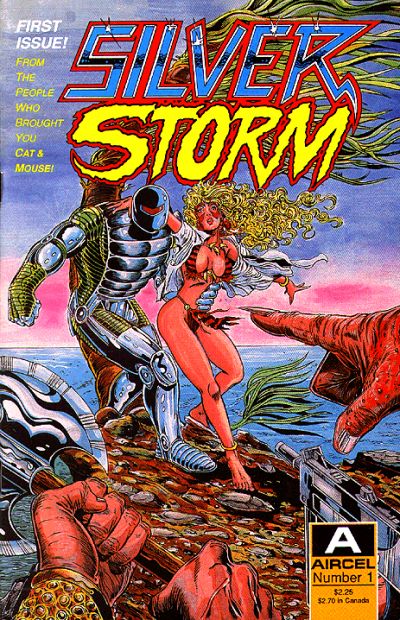 Cover for Silver Storm (Malibu, 1990 series) #1