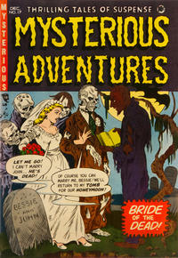Cover Thumbnail for Mysterious Adventures (Story Comics, 1951 series) #17