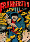 Cover for Frankenstein (Prize, 1945 series) #v3#5 (21)