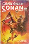 Cover for La Espada Salvaje de Conan el Bárbaro (Novedades, 1988 series) #17