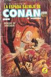 Cover for La Espada Salvaje de Conan el Bárbaro (Novedades, 1988 series) #18