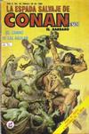 Cover for La Espada Salvaje de Conan el Bárbaro (Novedades, 1988 series) #45
