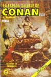 Cover for La Espada Salvaje de Conan el Bárbaro (Novedades, 1988 series) #60