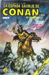 Cover for La Espada Salvaje de Conan el Bárbaro (Novedades, 1988 series) #67