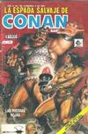 Cover for La Espada Salvaje de Conan el Bárbaro (Novedades, 1988 series) #89