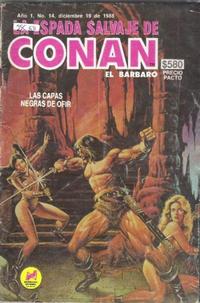 Cover Thumbnail for La Espada Salvaje de Conan el Bárbaro (Novedades, 1988 series) #14
