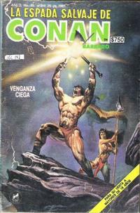 Cover Thumbnail for La Espada Salvaje de Conan el Bárbaro (Novedades, 1988 series) #69