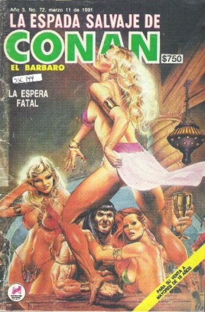 Cover for La Espada Salvaje de Conan el Bárbaro (Novedades, 1988 series) #72