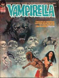 Cover for Vampirella (Warren, 1969 series) #17