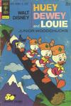Cover for Walt Disney Huey, Dewey and Louie Junior Woodchucks (Western, 1966 series) #21 [Gold Key]