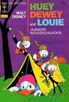 Cover for Walt Disney Huey, Dewey and Louie Junior Woodchucks (Western, 1966 series) #22 [Gold Key]