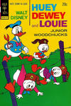 Cover for Walt Disney Huey, Dewey and Louie Junior Woodchucks (Western, 1966 series) #23 [Gold Key]