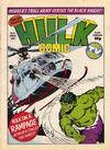 Cover for Hulk Comic (Marvel UK, 1979 series) #14