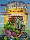 Cover for De verbijsterende Hulk (Juniorpress, 1979 series) #13