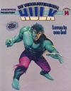 Cover for De verbijsterende Hulk (Juniorpress, 1979 series) #14