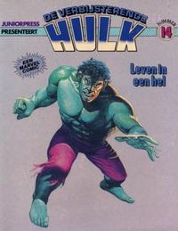 Cover Thumbnail for De verbijsterende Hulk (Juniorpress, 1979 series) #14