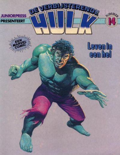 Cover for De verbijsterende Hulk (Juniorpress, 1979 series) #14