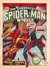 Cover for The Spectacular Spider-Man Weekly (Marvel UK, 1979 series) #338