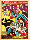 Cover for The Spectacular Spider-Man Weekly (Marvel UK, 1979 series) #343