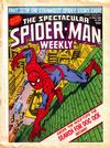 Cover for The Spectacular Spider-Man Weekly (Marvel UK, 1979 series) #366