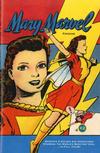 Cover for Mary Marvel Fanzine (Mike Bromberg, 2004 series) #2