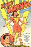 Cover for Mary Marvel Fanzine (Mike Bromberg, 2004 series) #7