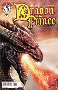 Cover Thumbnail for Dragon Prince (Image, 2008 series) #1 [Cover B]