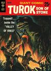 Cover for Turok, Son of Stone (Western, 1966 series) #1