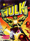 Cover for L'Incredibile Hulk (Editoriale Corno, 1980 series) #11