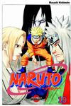 Cover for Naruto (Bonnier Carlsen, 2006 series) #19