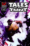 Cover for Tales of the TMNT (Mirage, 2004 series) #40