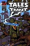 Cover for Tales of the TMNT (Mirage, 2004 series) #41