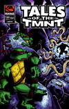 Cover for Tales of the TMNT (Mirage, 2004 series) #45