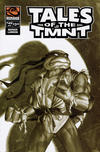 Cover for Tales of the TMNT (Mirage, 2004 series) #49