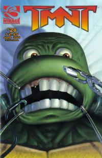 Cover Thumbnail for TMNT: Teenage Mutant Ninja Turtles (Mirage, 2001 series) #28