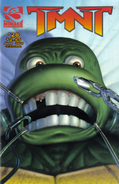 Cover for TMNT: Teenage Mutant Ninja Turtles (Mirage, 2001 series) #28
