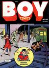 Cover for Boy Comics (Lev Gleason, 1942 series) #19