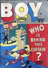 Cover for Boy Comics (Lev Gleason, 1942 series) #35